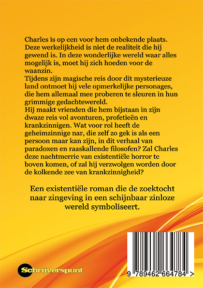 Achterkant van Filosofie van een krankzinnige