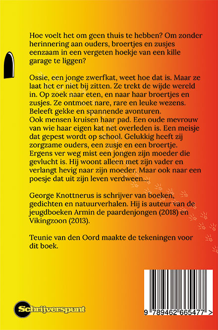 Achterkant van Zwerfkat Ossie