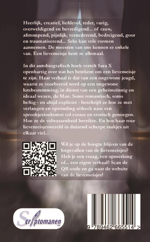 Achterkant van Het Lievemeisjeshuis, een erotisch sprookje