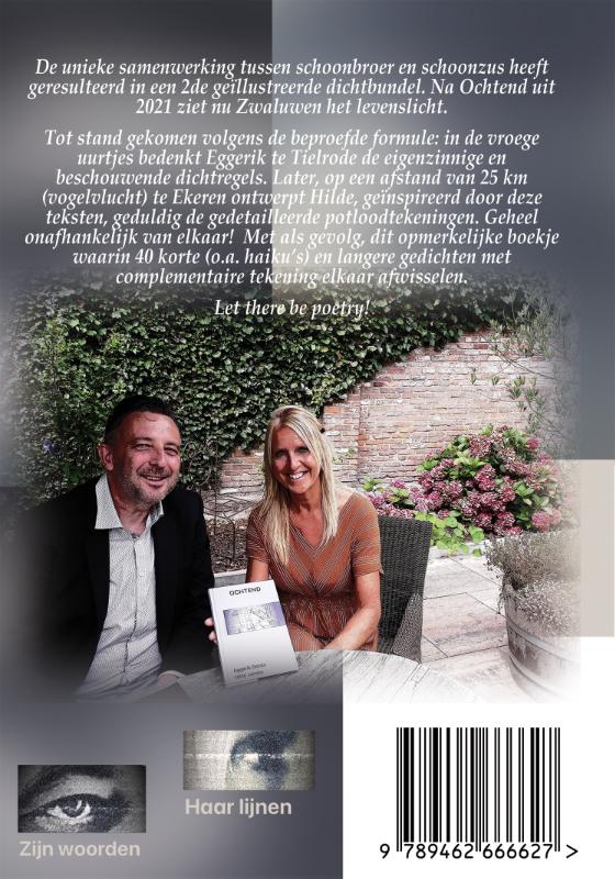 Achterkant van Zwaluwen