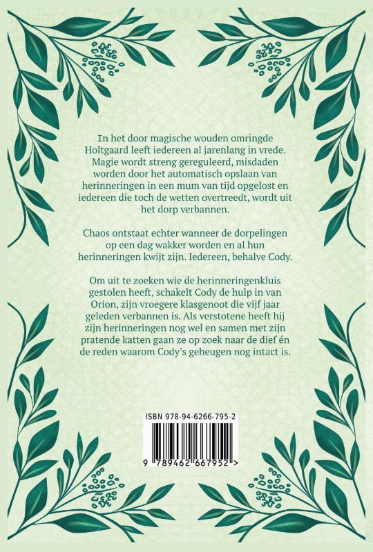 Achterkant van Het dorp zonder herinneringen