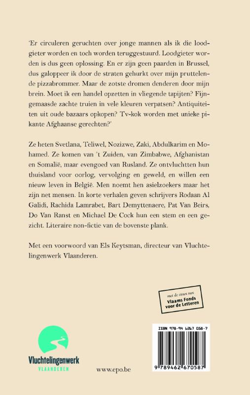 Achterkant van Er zijn geen paarden in Brussel