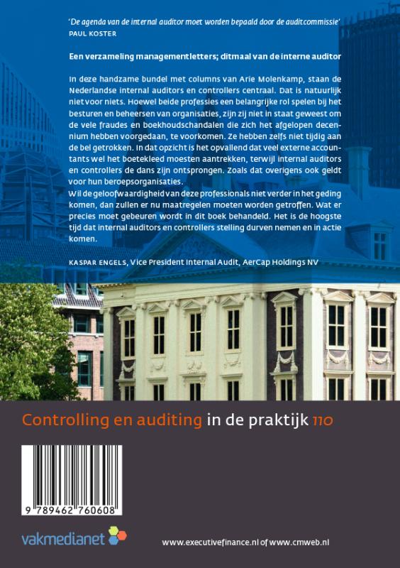 Achterkant van Auditing internal control