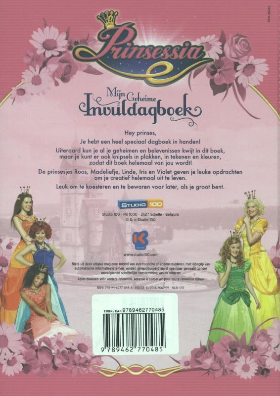 Achterkant van Mijn geheime invuldagboek