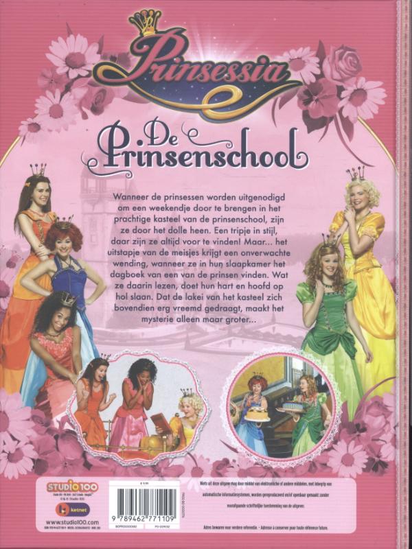 Achterkant van De Prinsessenschool