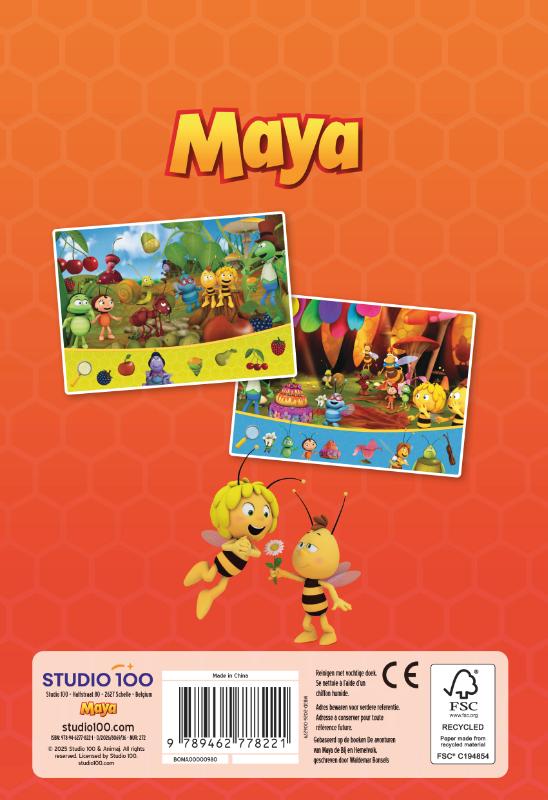 Achterkant van Maya: Mini zoekboek