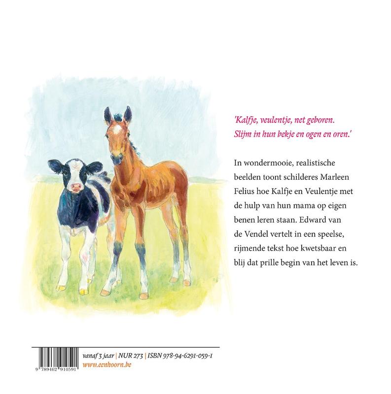 Achterkant van Kalfje, veulentje