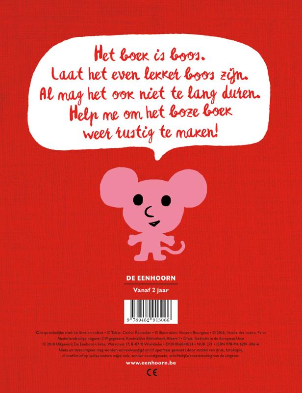 Achterkant van Het boze boek