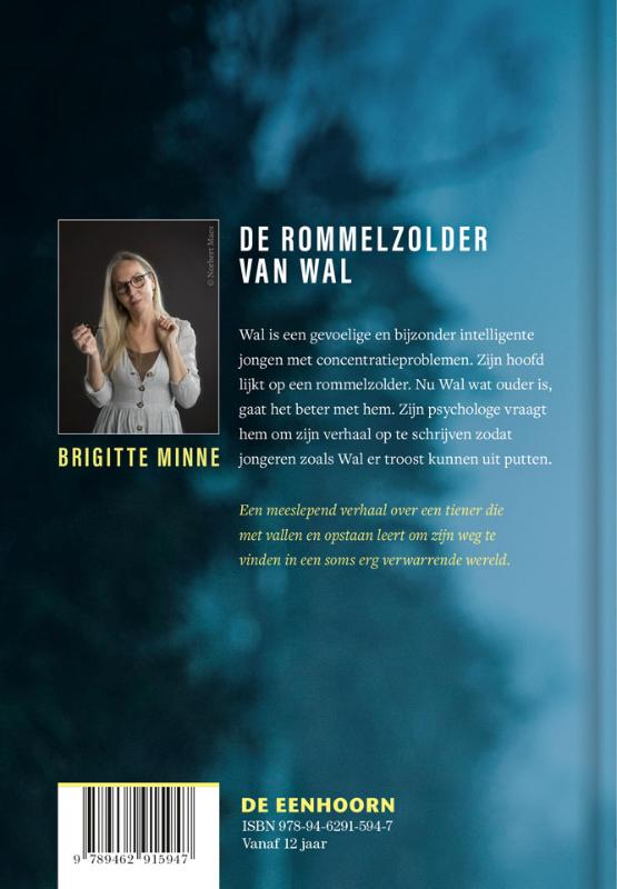 Achterkant van De rommelzolder van Wal