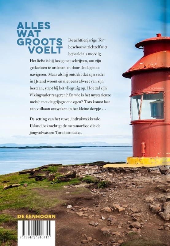 Achterkant van Alles wat groots voelt