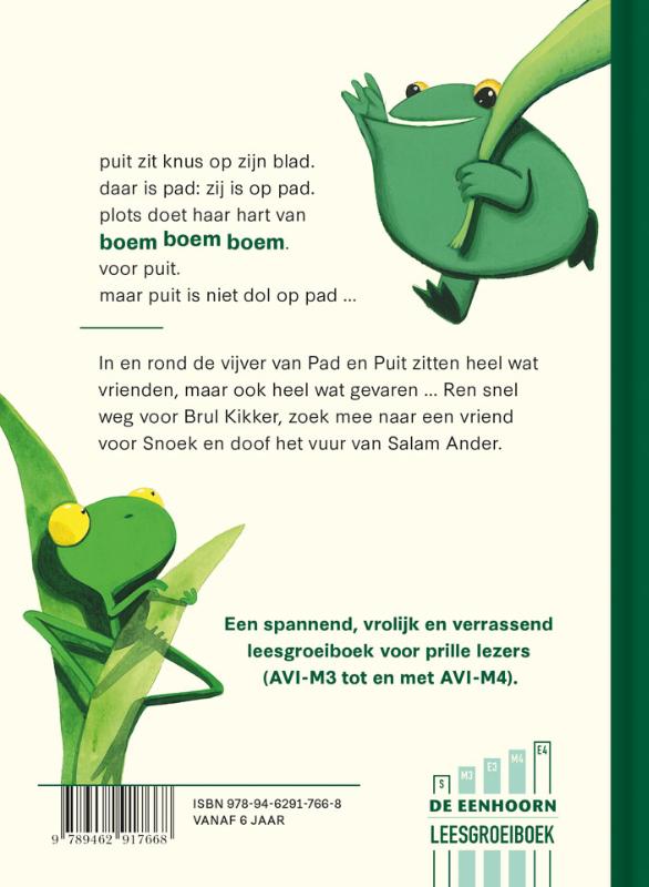 Achterkant van Pad en Puit