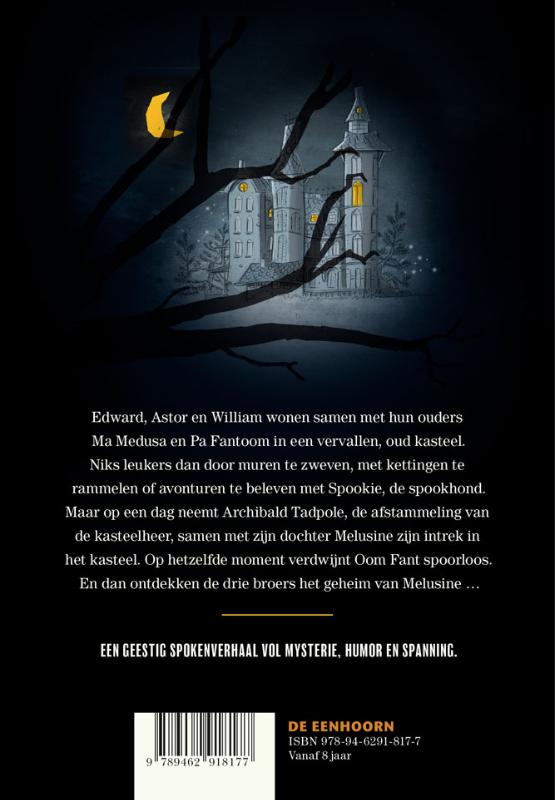Achterkant van Het Spokentrio