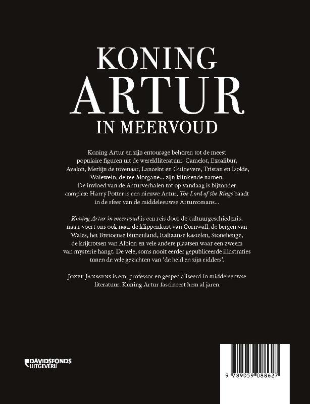 Achterkant van Koning Artur in meervoud
