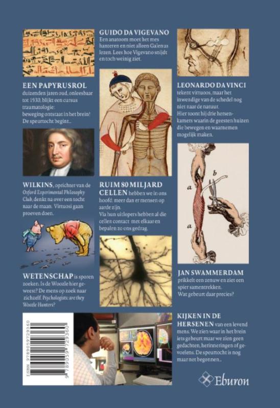 Achterkant van Het Brein van farao tot fMRI