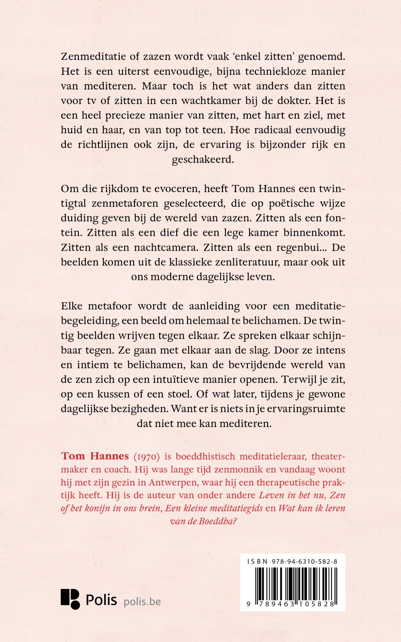 Achterkant van Als een Boeddha, als een uilskuiken