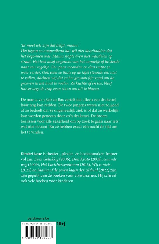 Achterkant van Bro's