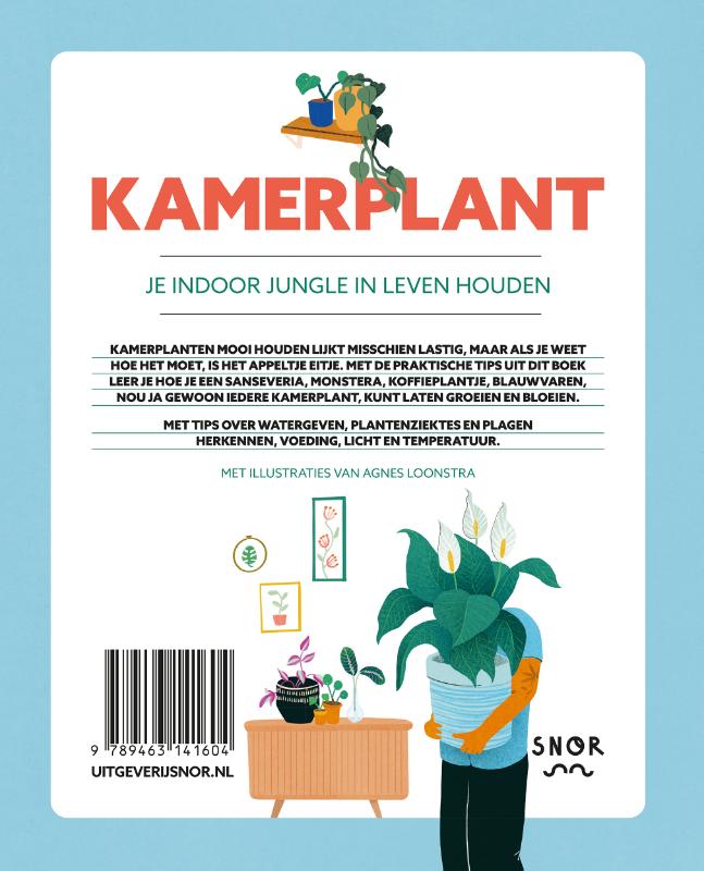 Achterkant van Kamerplant