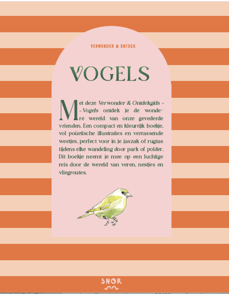 Achterkant van Vogels