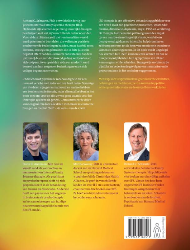 Achterkant van Internal Family Systems-therapie (IFS)