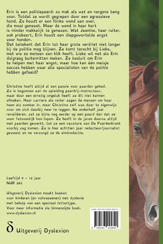 Achterkant van De overwinning van Erin