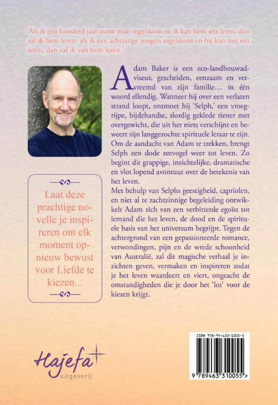 Achterkant van De jongen zonder schaduw