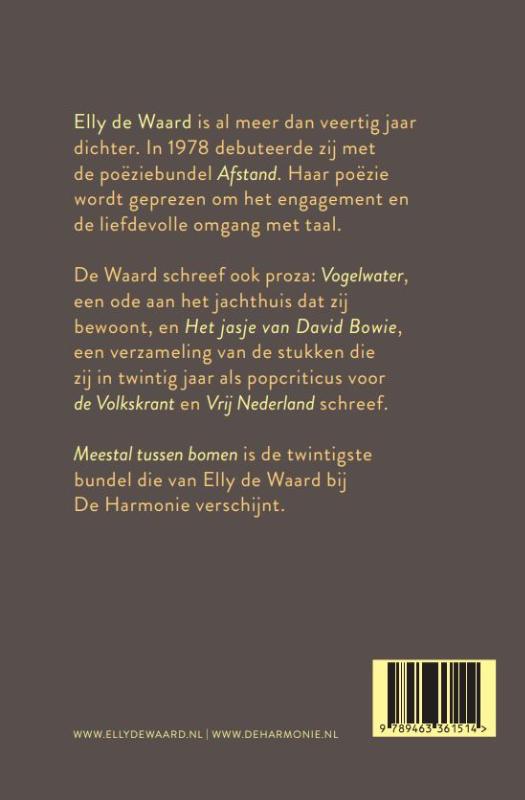Achterkant van Meestal tussen bomen