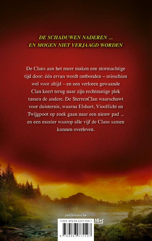 Achterkant van Een visioen van schaduwen: Rivier van vuur