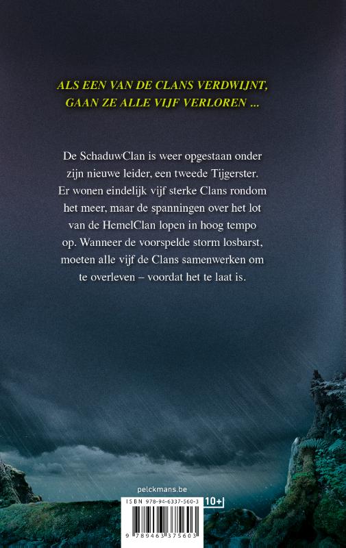 Achterkant van De razende storm