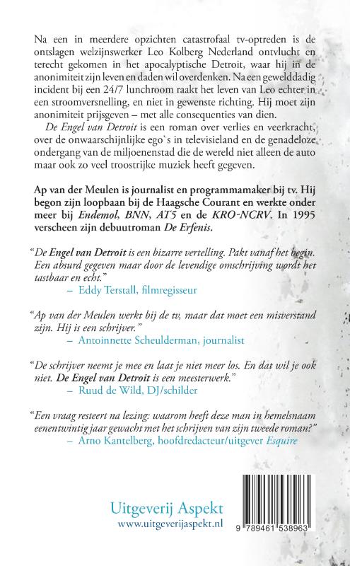 Achterkant van Engel van Detroit