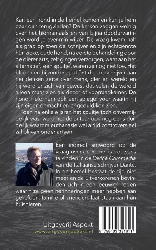 Achterkant van De Spiegel