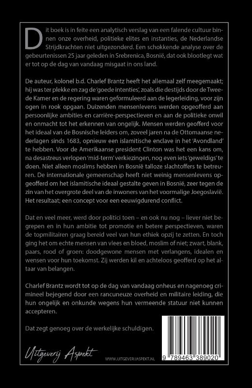 Achterkant van Srebrenica: De Schuldigen