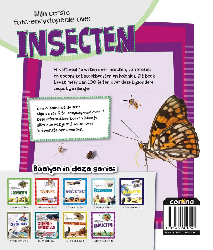 Achterkant van Insecten
