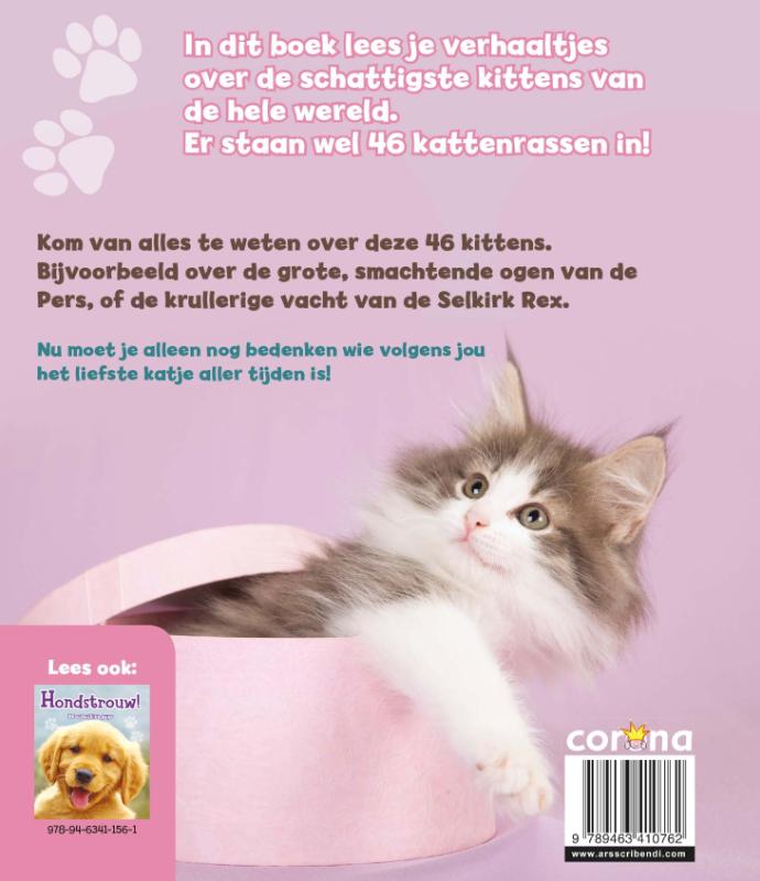 Achterkant van Poeslief!