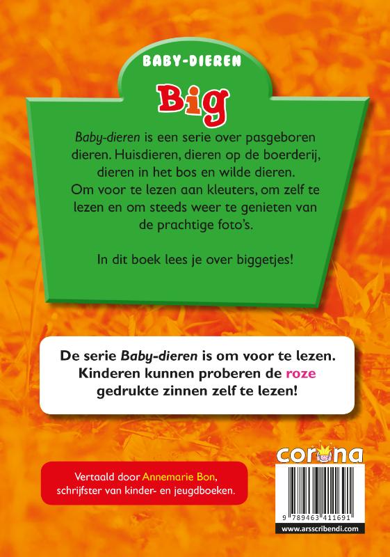 Achterkant van Big