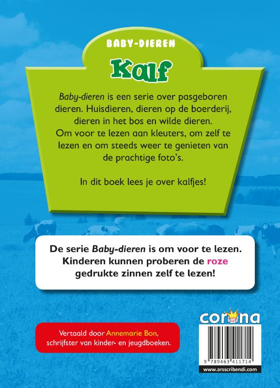 Achterkant van Kalf