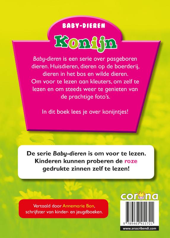 Achterkant van Konijn