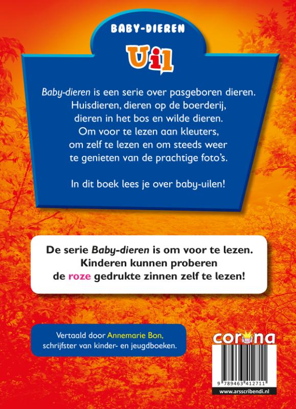 Achterkant van Uil