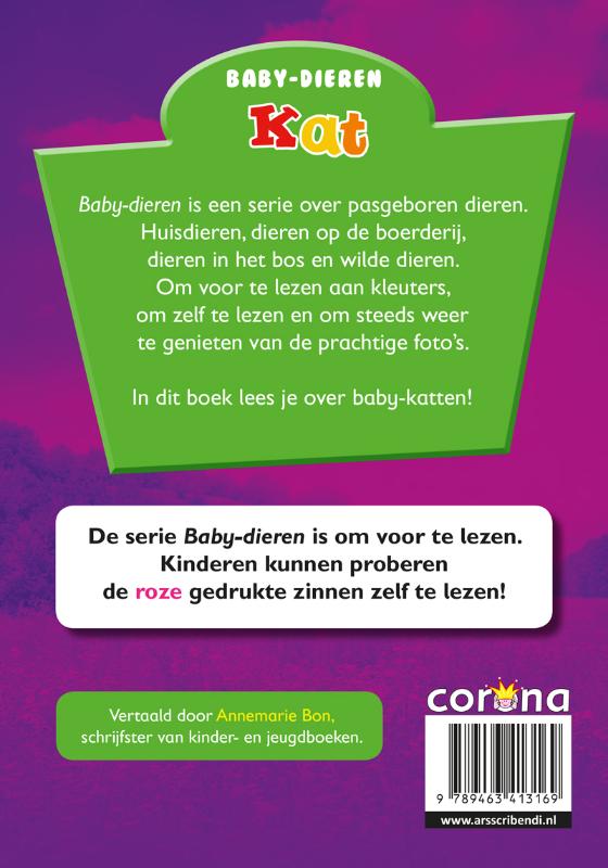 Achterkant van Kat