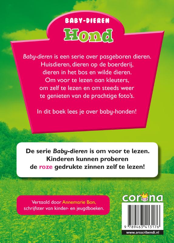 Achterkant van Hond