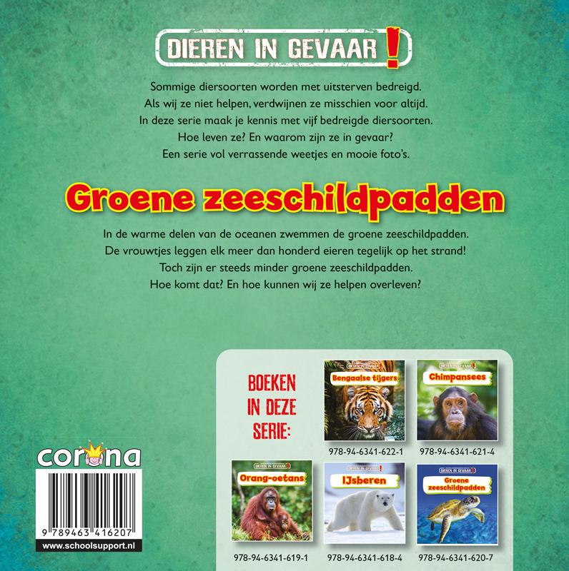 Achterkant van Groene zeeschildpadden
