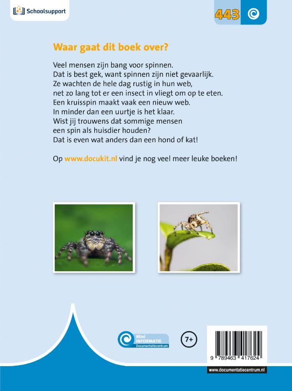 Achterkant van Spinnen