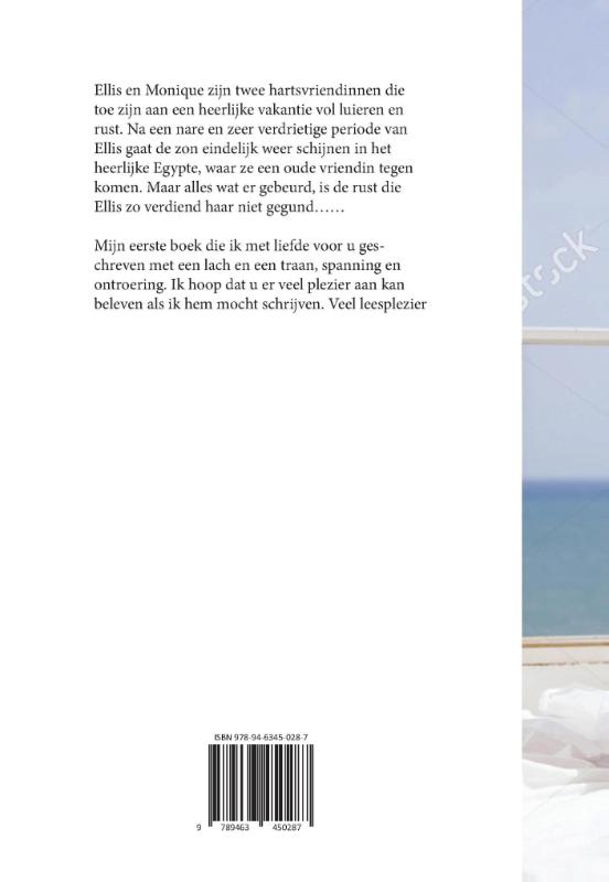 Achterkant van Het spel is uit