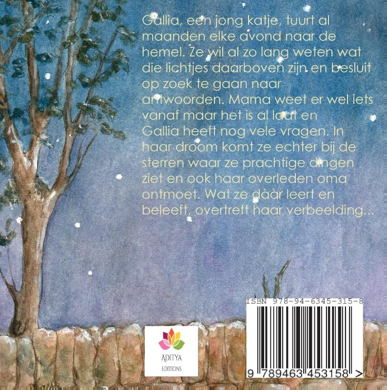 Achterkant van Gallia en de sterren