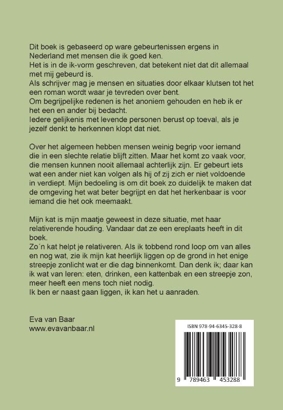 Achterkant van De Lapjeskat