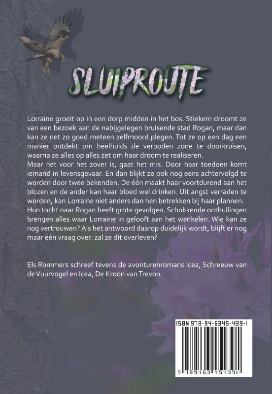 Achterkant van Sluiproute