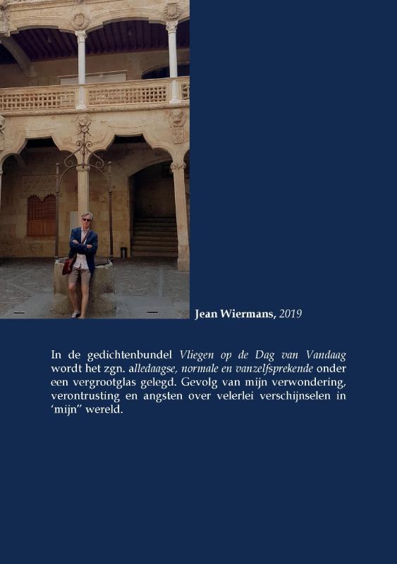 Achterkant van Vliegen