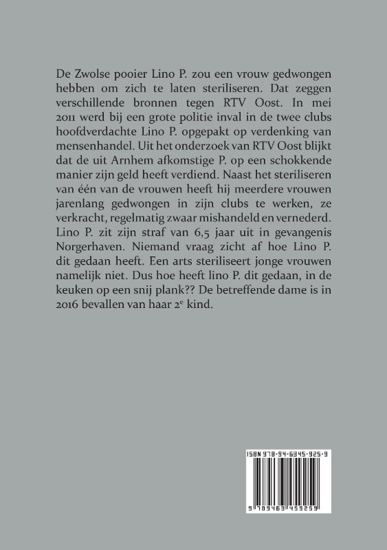 Achterkant van Lino P. Het Beest