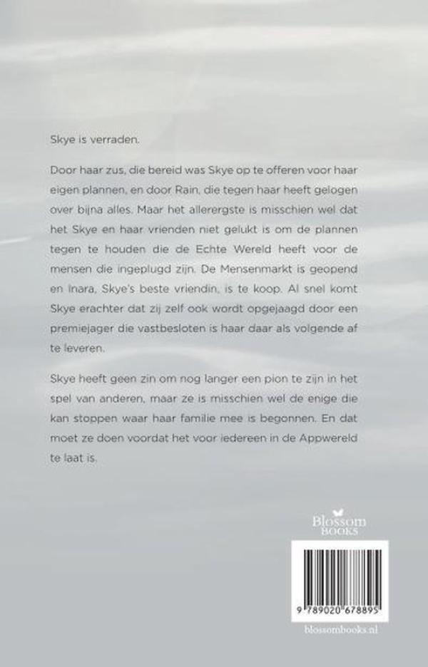 Achterkant van De mensenmarkt