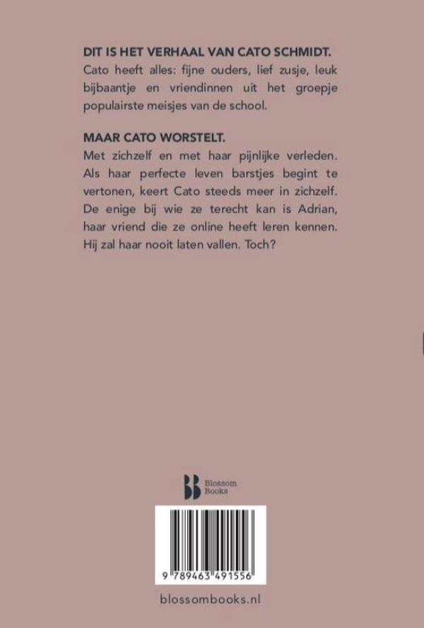 Achterkant van Dit is hoe het ging