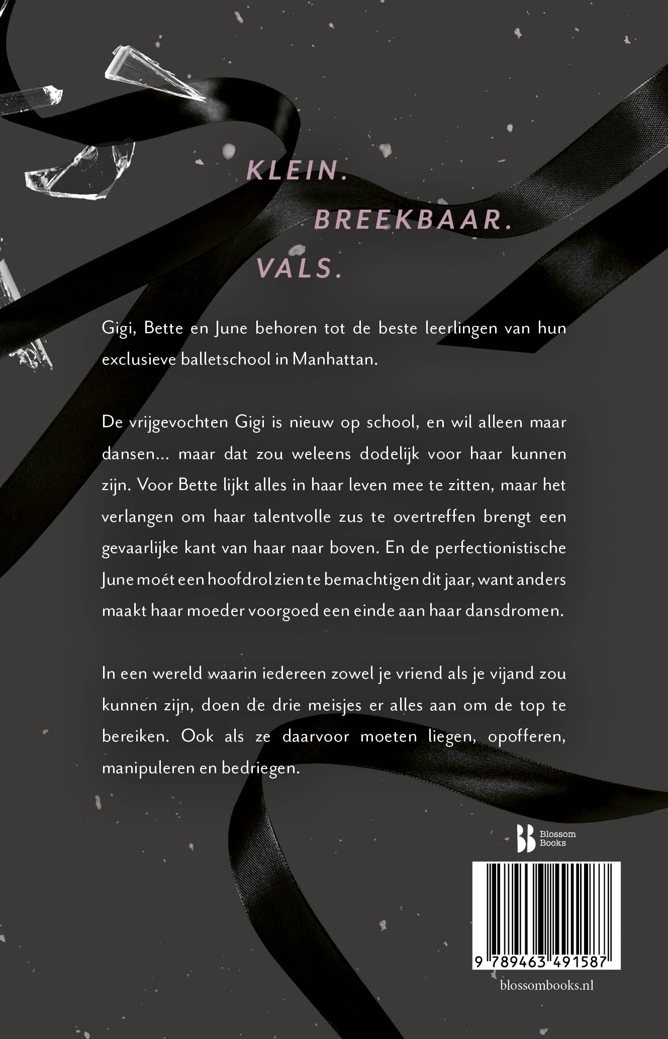 Achterkant van Tiny Pretty Things